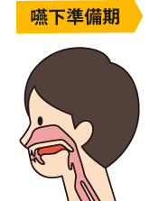嚥下準備期