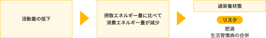 活動量の低下>摂取エネルギー量に比べて消費エネルギーが減少>過栄養状態 リスク 肥満 生活習慣病の合併