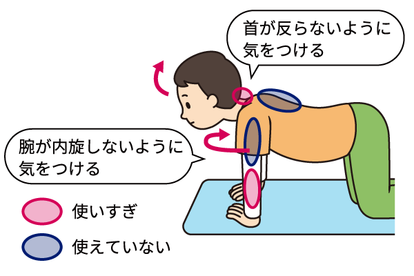 四つんばいをするときのポイントの説明補足画像。