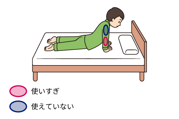 うつぶせから手をついて頭を上げる・体を起こすときのポイントの説明補足画像。